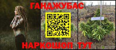 ECSTASY Славгород
