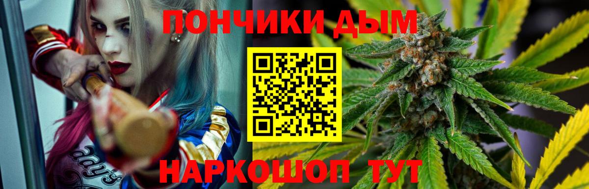 Бошки Шишки конопля  МАРИХУАНА сатива  Вход с VPN  Отрадный  Конопля семена 